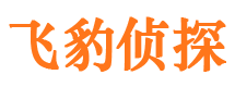 施秉外遇调查取证